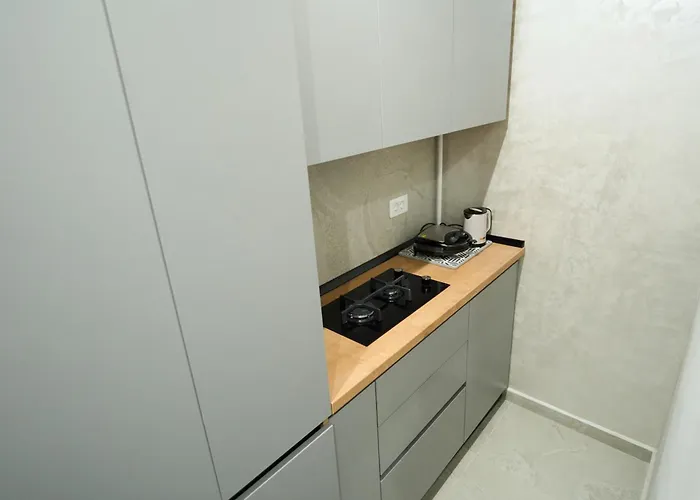 Zen Ultracentral Stylish & Cozy Apartment Craiova